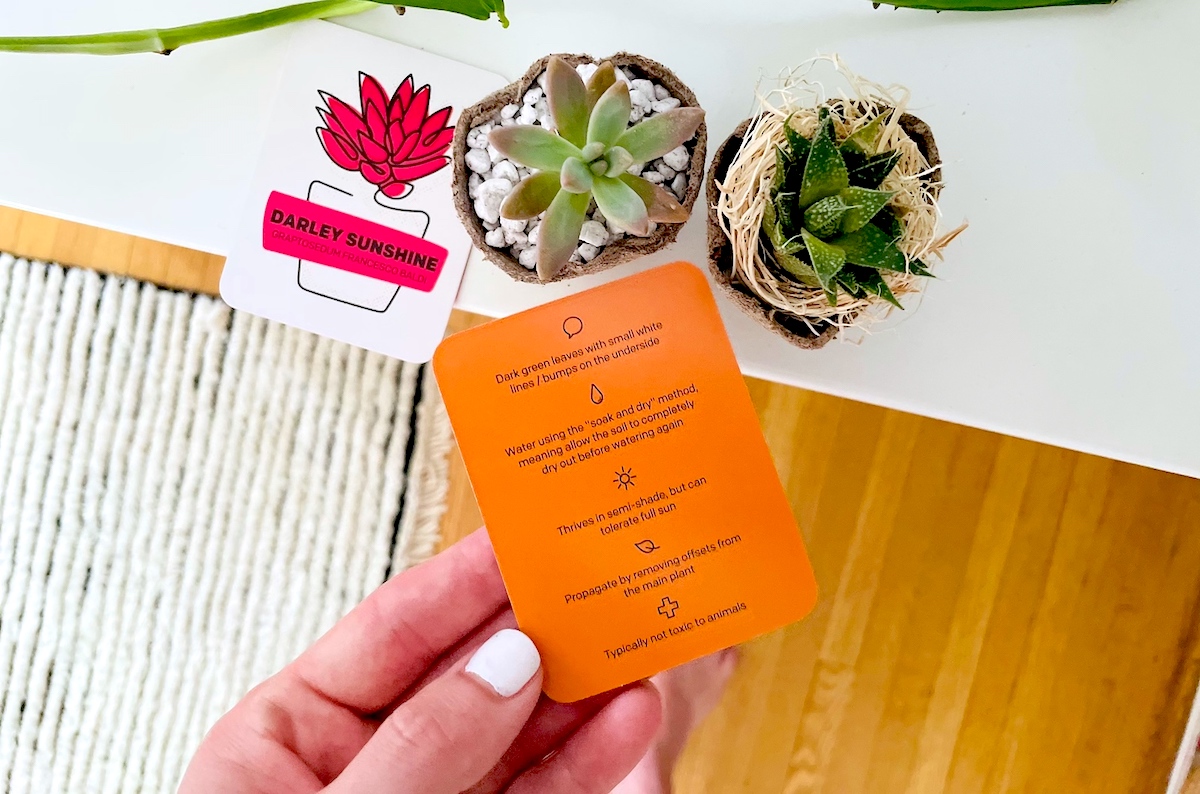 hand holding card with plant care instructions