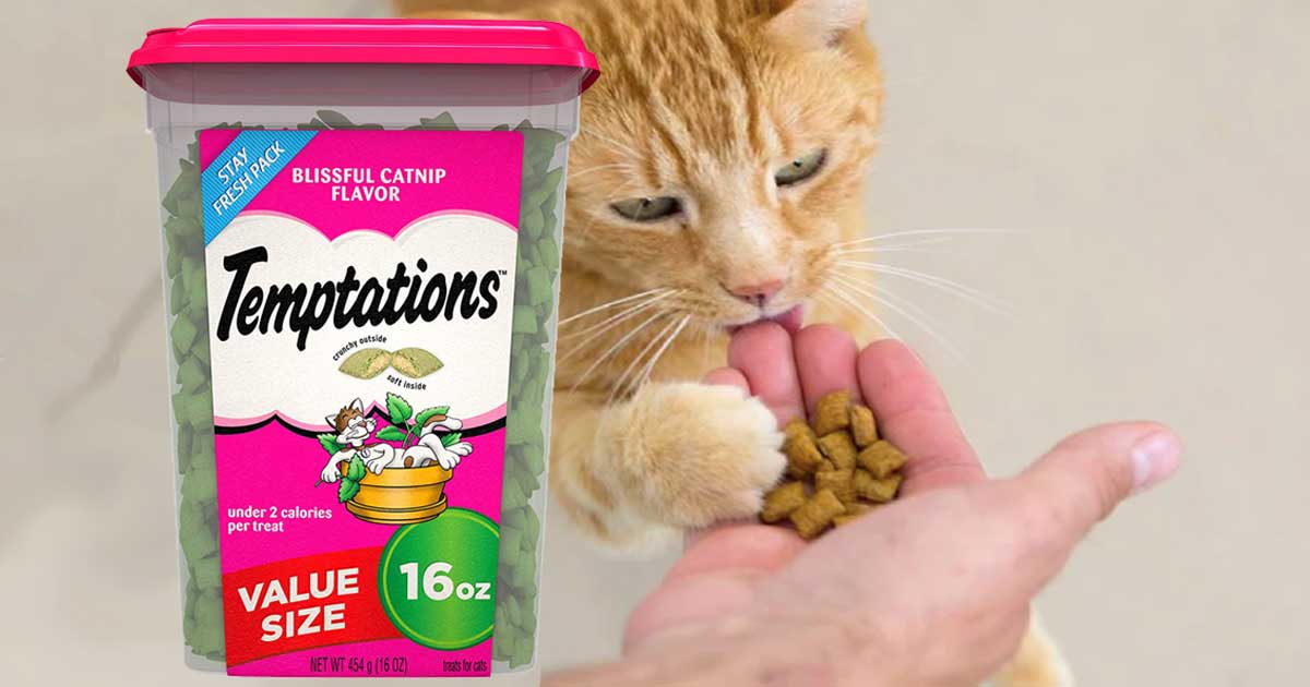 temptations cat treats 16 oz