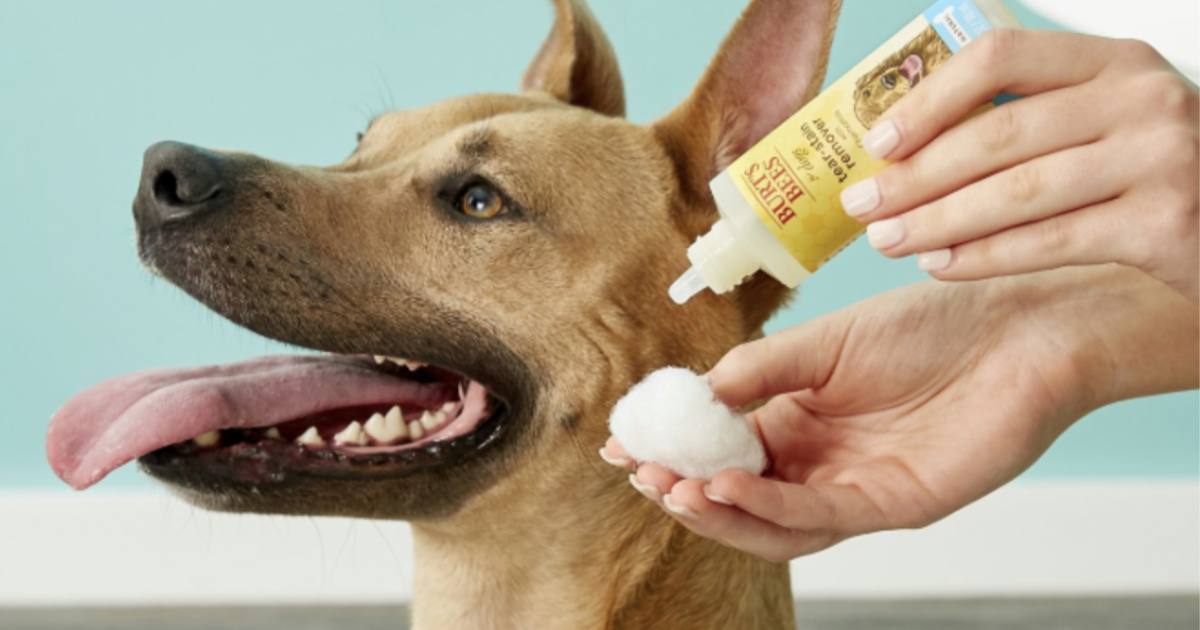 Burt's bees tear stain remover sales for dogs