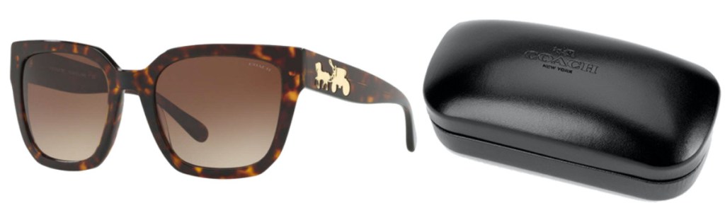 brown square sunglasses and black case