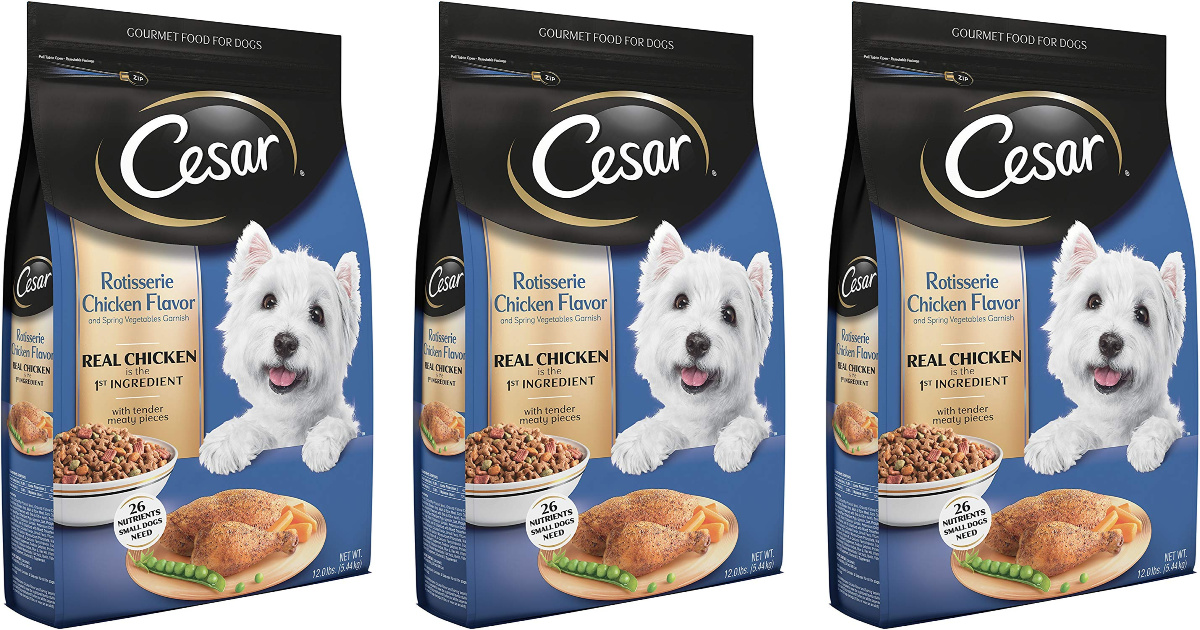 Cesar Dry Dog Food 12 Lb. Bag Only 6.65 on