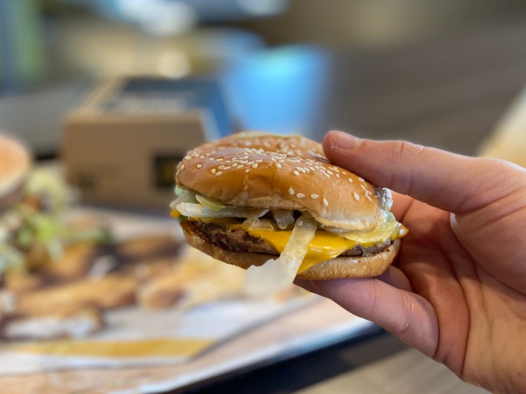 Hand holding McDonalds Little Big Mac