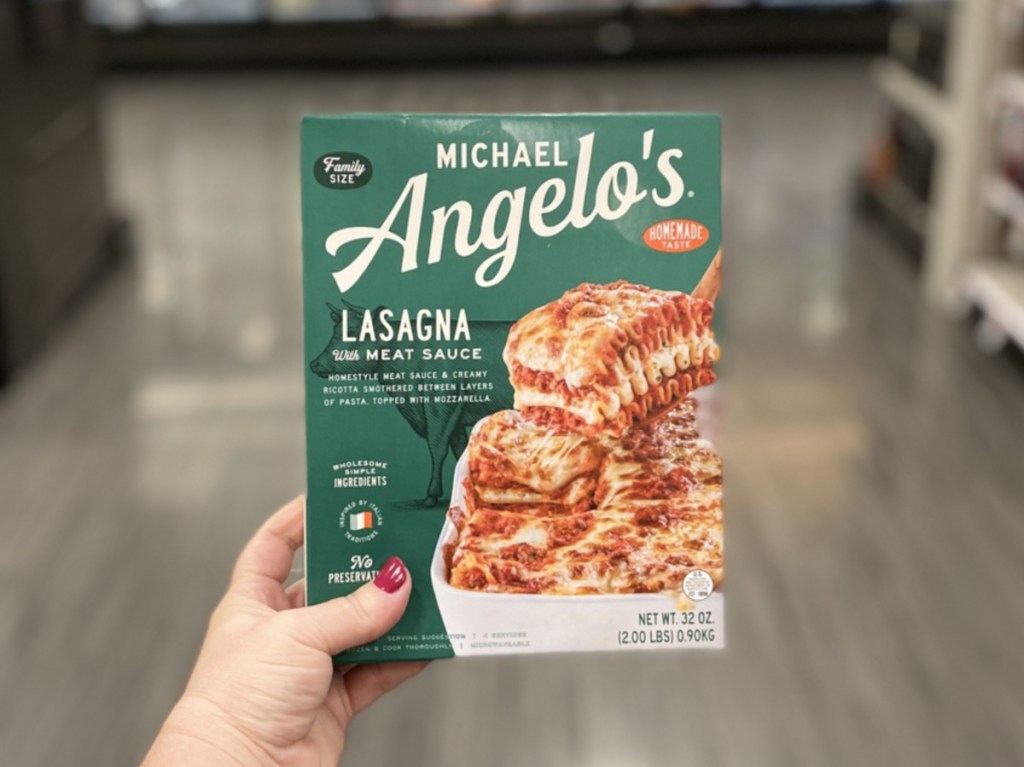 Hand holding frozen lasagna box in store aisle
