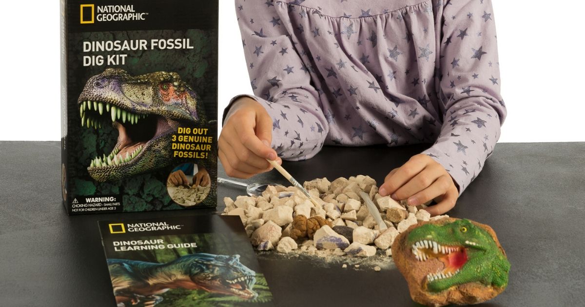 National Geographic Dinosaur Dig Kit for sale online 
