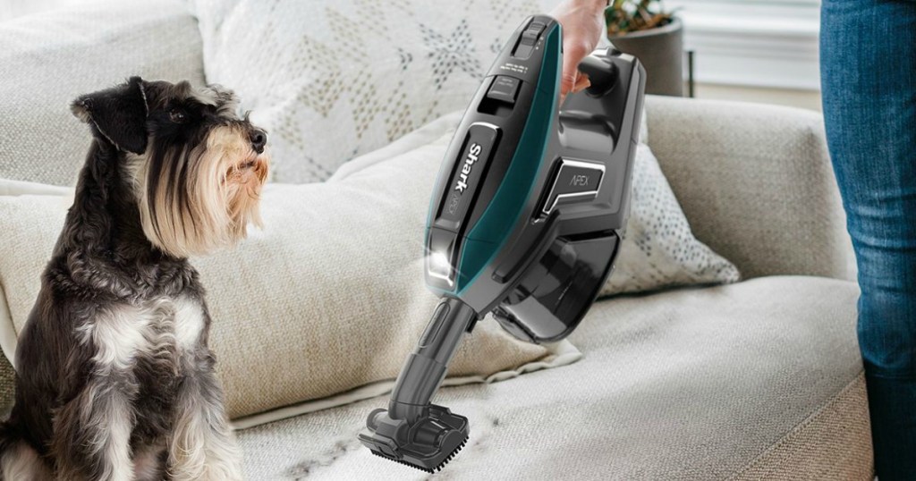 person vacuuming a couch next to a dog