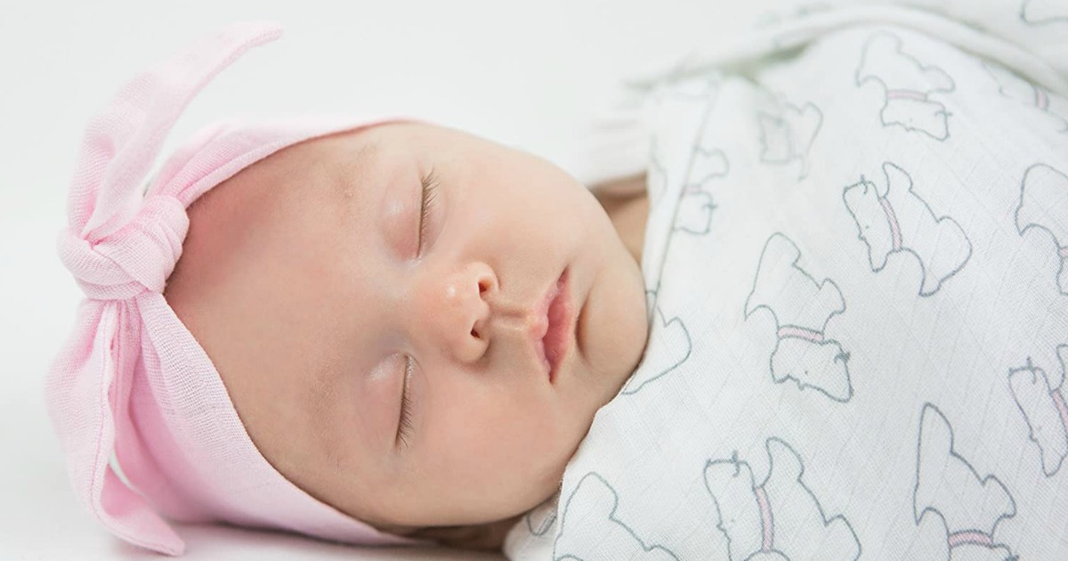 swaddle designs blanket