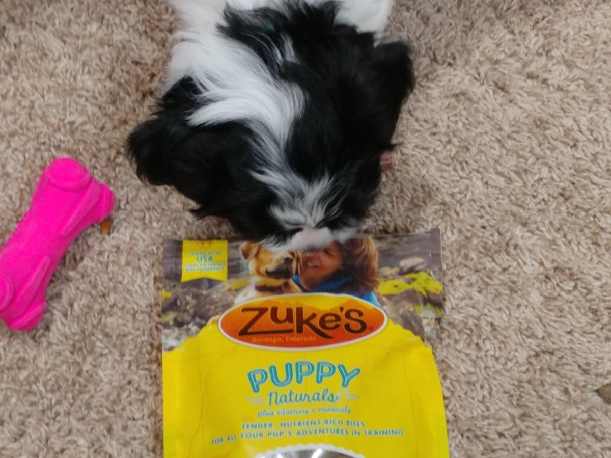 zuke's puppy naturals
