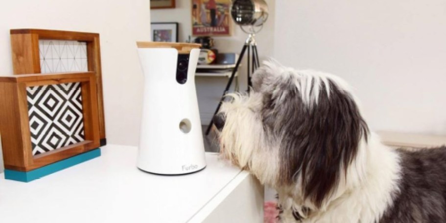 HUGE Price Drop: Furbo 360° Pet Camera $45 Shipped on Amazon (Dispenses Treats, Too!)