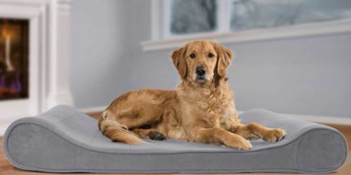 Furhaven Ergonomic Dog Bed Just $27 Shipped on Amazon (Regularly $54)