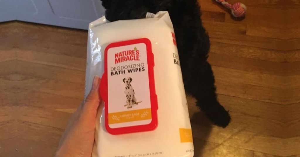 woman's hand holding pack of pet wipes in front of medium size dog