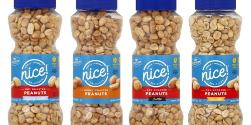 Nice! Nuts & Snack Mixes Only $1.99 Shipped on Walgreens