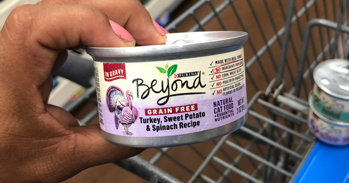 Purina Grain Free Wet Cat Food 12 Pack Only 5 70 Shipped On Amazon Just 48 Per Can Hip2save