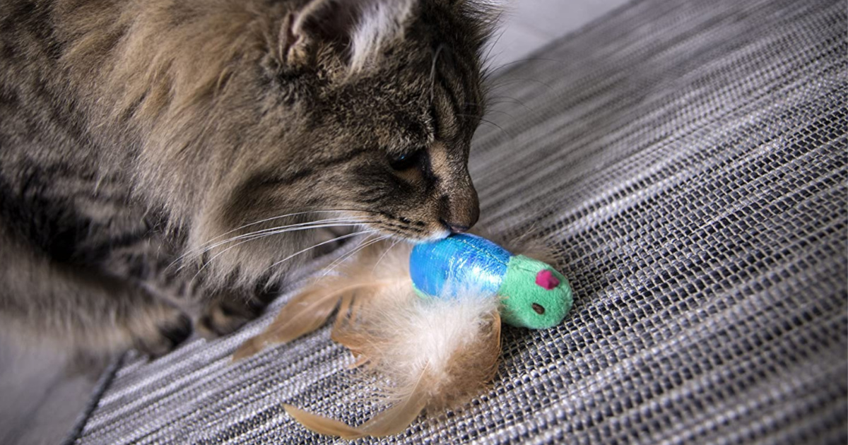 smartykat cat toys