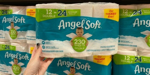 Angel Soft Toilet Paper Double Rolls 12-Count Only $5.97 on Walmart.com | In Stock NOW