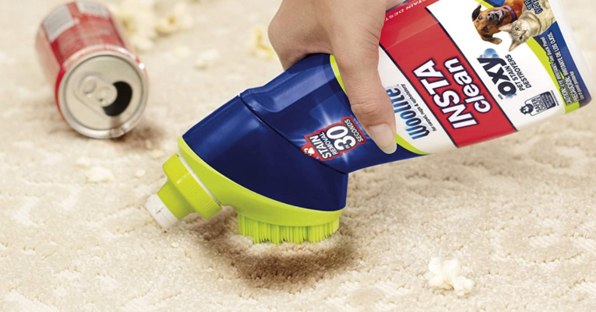 BISSELL Woolite InstaClean Pet w/ Brush Head Only 2.49 Shipped on Amazon