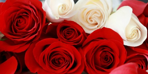 Fresh Roses 50-Count Only $39.99 Shipped on Costco.com | 17 Color Choices