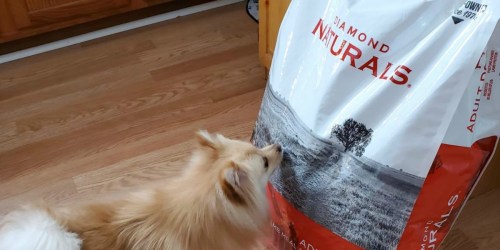 Buy One, Get One FREE Diamond Naturals Dog Food Bags on Tractor Supply