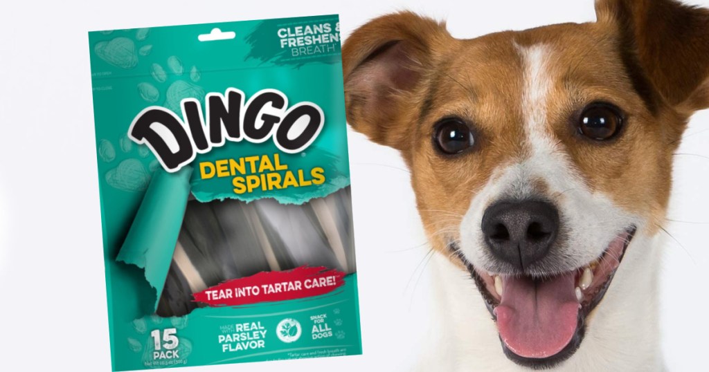 Dog with Dingo dog treats