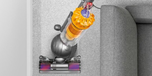 Dyson Slim Ball Vacuum Only $199 Shipped on Home Depot (Regularly $299)