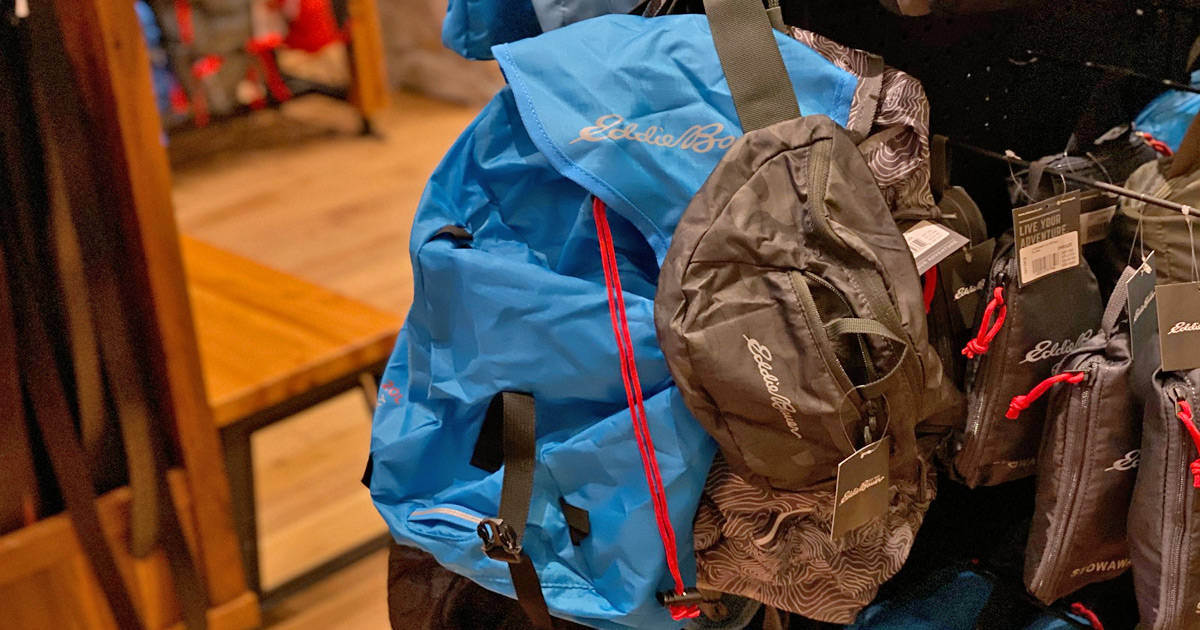 eddie bauer stowaway 20l backpack