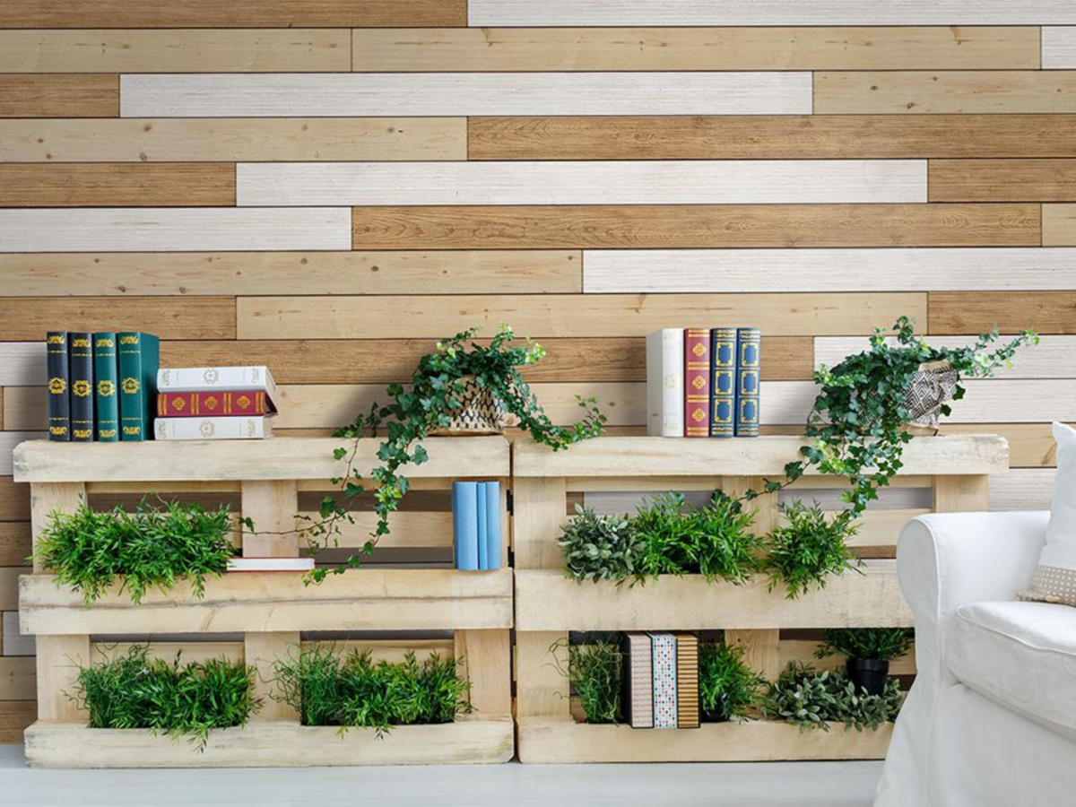 Wall finished with shiplap boards in light wooden shades in from of a wooden shelf with live plants