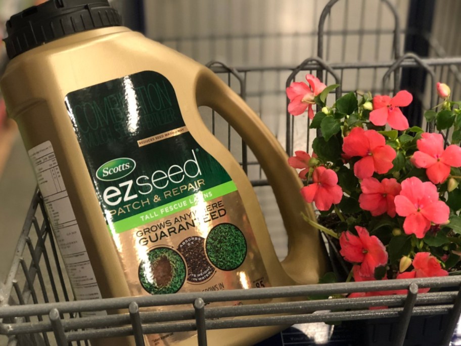 EZ Seed in cart with flowers