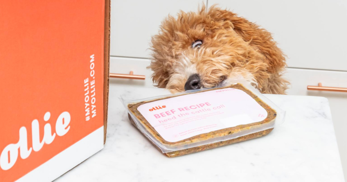 Get 50% Off Ollie Fresh Dog Food Delivery | Hip2Save