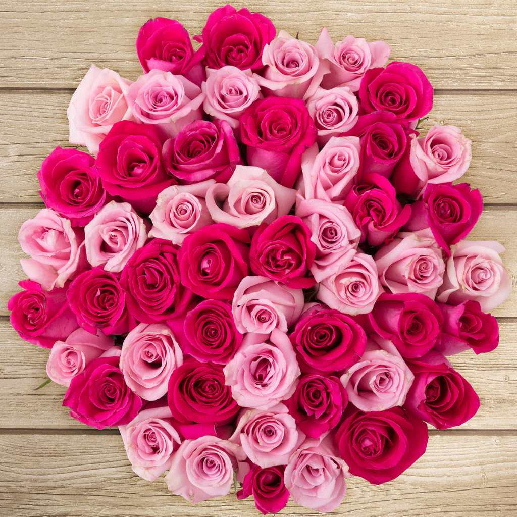 large bouquet of pink roses