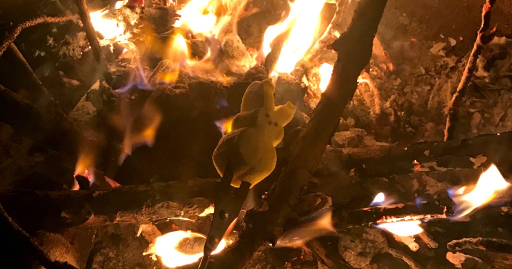 roasting food over campfire