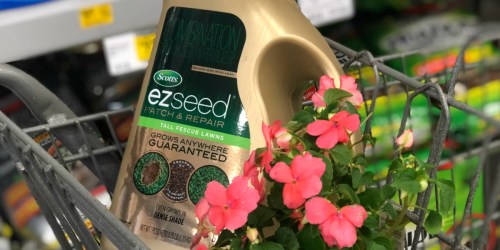 50% Off Scott’s Lawn Repair EZ Seed Products on Lowe’s