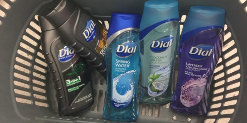 Dial Body Wash Only $2.49 Shipped on Walgreens