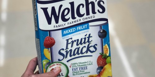 Welch’s Fruit Snacks Pouches 40-Count Only $6.63 Shipped on Amazon | Just 17¢ Each