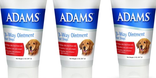 Adams Ointment For Dogs Only $2 Shipped on Amazon