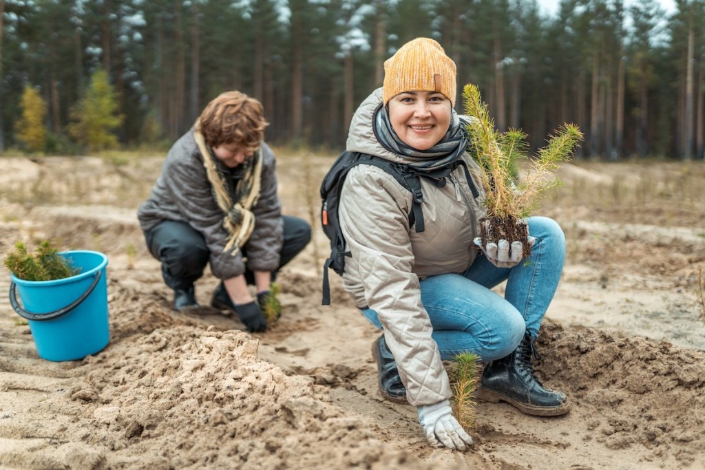 woman holding baby tree in forest earth day activities