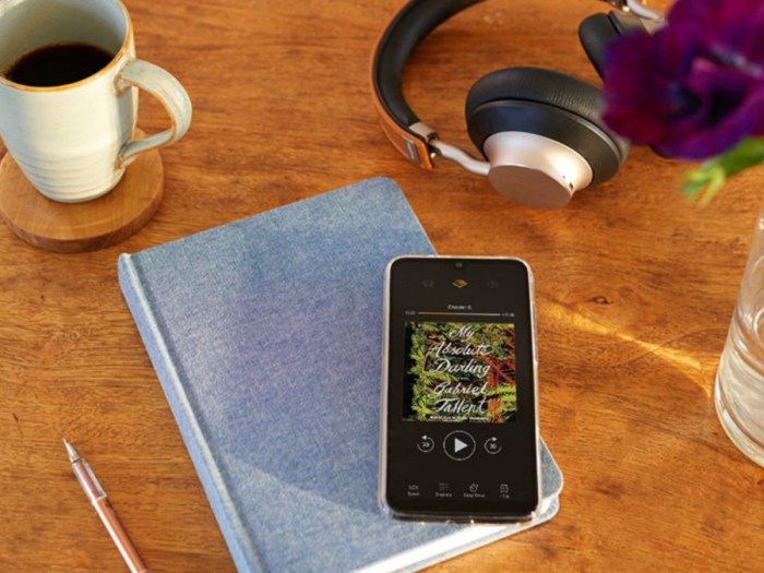 The Latest Audible Promo Codes & Deals | Hip2Save