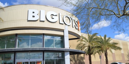 15% Off ALL Big Lots Purchases for First Responders, Medical Workers, and Military