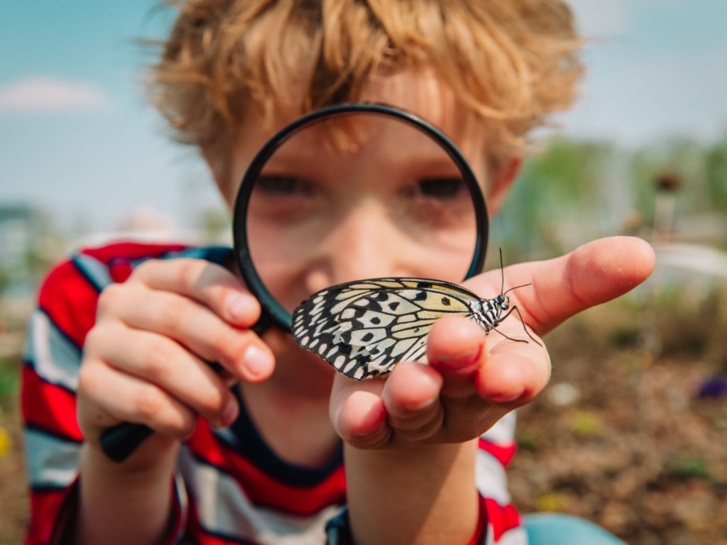Boy studying butterfly with magnifying glass