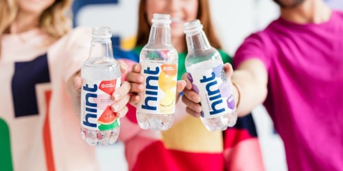 Hint Fruit Infused Water 24-Count Only $15.76 on Amazon | Just 66¢ Per Bottle