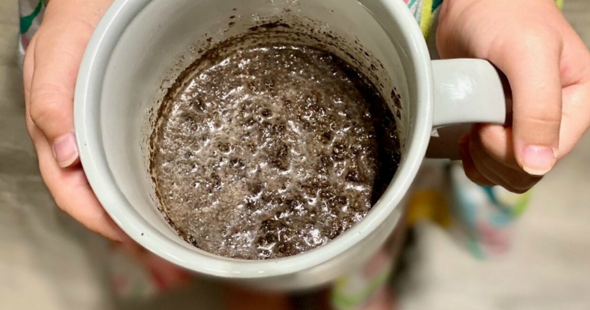 2 Ingredient Oreo Mug Cake The Viral Recipe From Tiktok Hip2save