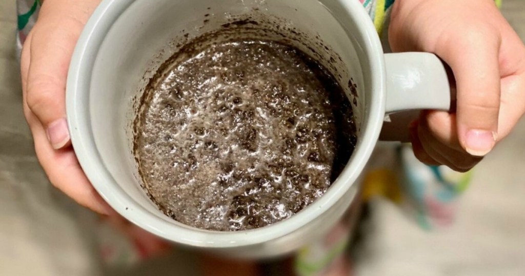 2-ingredient-oreo-mug-cake-the-viral-recipe-from-tiktok-hip2save