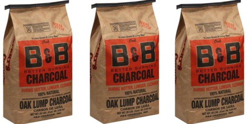 Natural Oak Charcoal 20-Pound Bag Only $11.99 on AceHardware.com