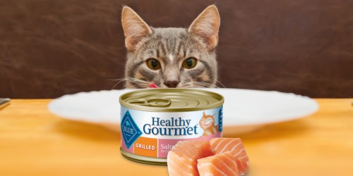 Blue Buffalo Cat Food 24-Cans Only $12 Shipped on Amazon | Just 50¢ Each