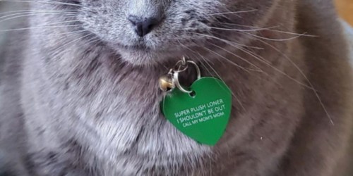 Custom Pet ID Tags Only $2.99 Shipped on Amazon | Choose from Nine Designs