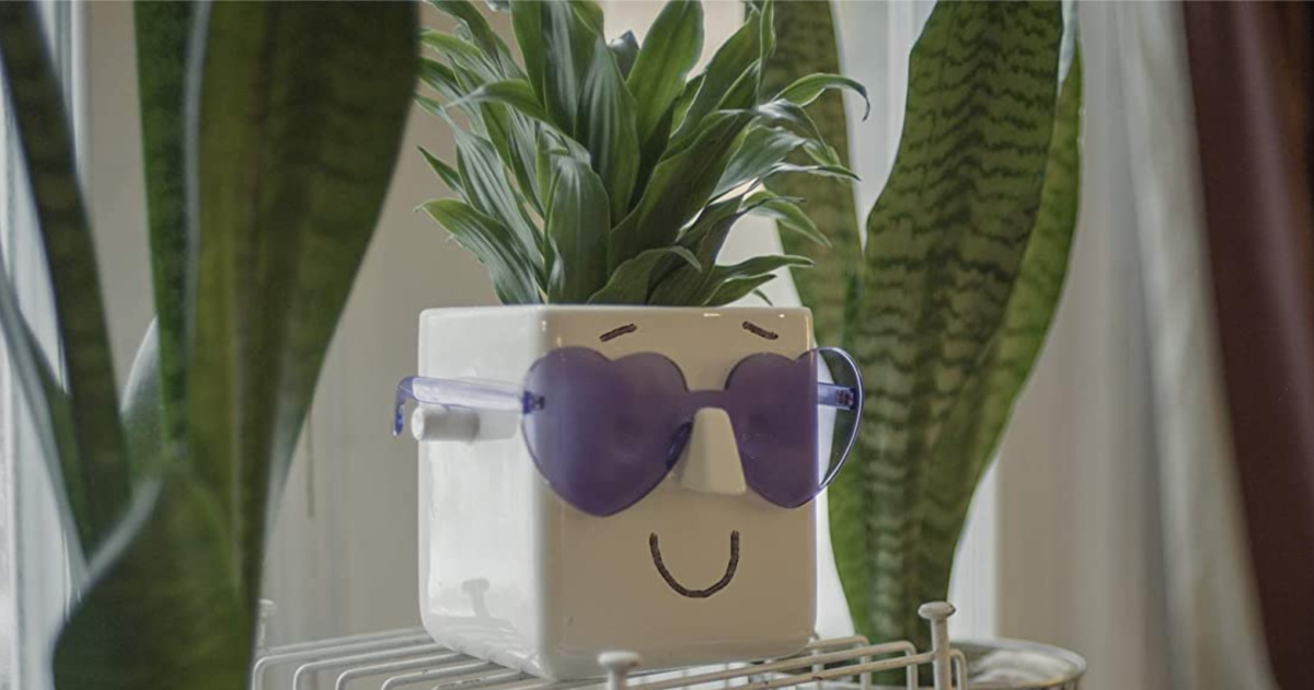 white smiling face plant put with purple heart shaped sunglasses