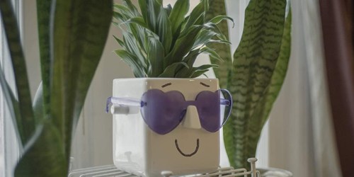 This Face Planter Holds Your Plant AND Glasses | Personalize It w/ Markers