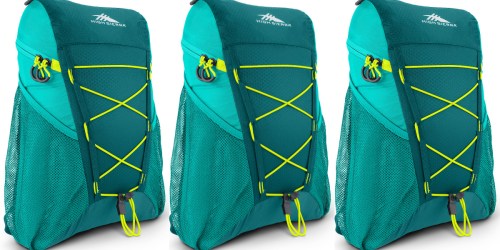High Sierra Pack-n-Go Backpack Only $12.59 Shipped (Regularly $21)