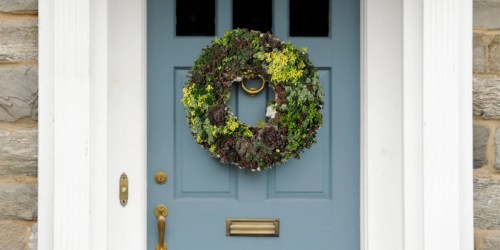 Your Front Door Needs This Living Succulent Wreath from Costco