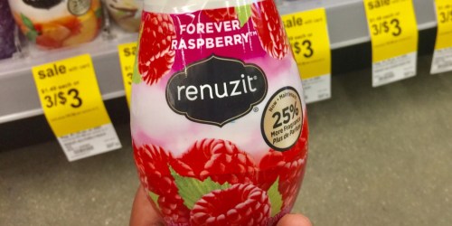 Renuzit Air Freshener 6-Pack Only $4.37 Shipped on Amazon | Just 74¢ Each