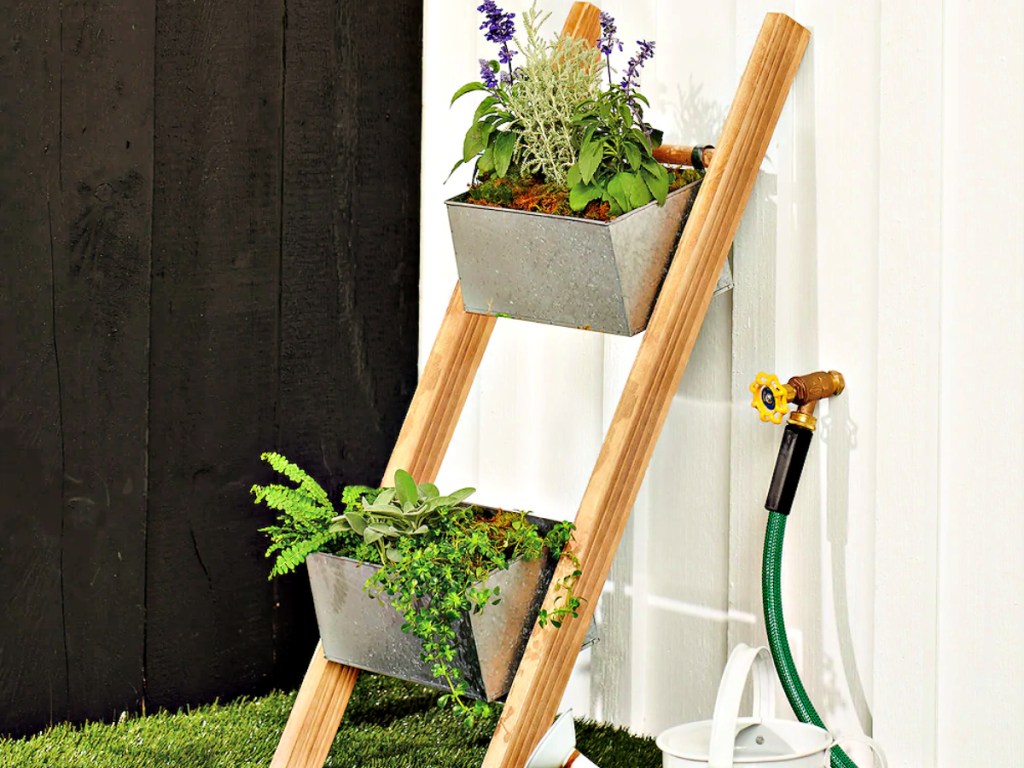 SONOMA Goods for Life Rustic Ladder Planter in backyard