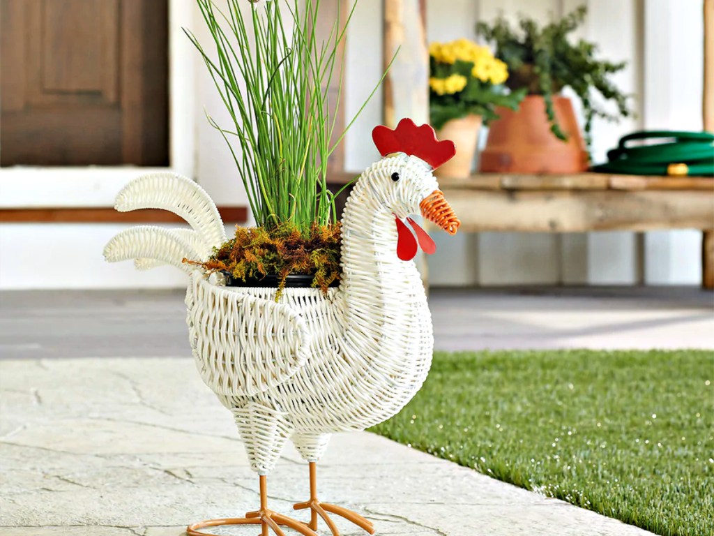 SONOMA Goods for Life Wicker Rooster Planter on sidewalk in backyard
